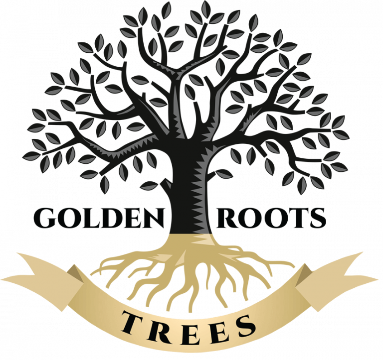 Burr Oaks Golden Roots Trees